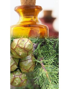 Cyprès de Provence BIO