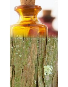 Cèdre de l'Atlas Bio