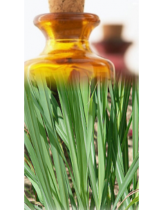 Lemongrass Bio