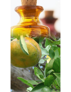 Mandarine jaune