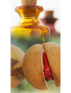Noix de muscade Bio