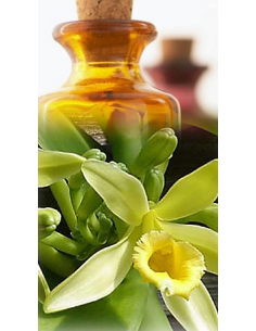 Vanille Bio (Absolue)