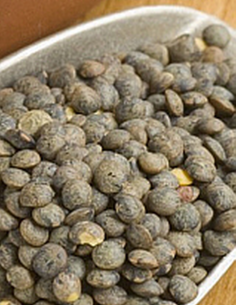 Graines lentilles vertes