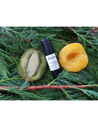 Stick réparateur et protecteur des...