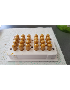 Gélules pour protection Corona