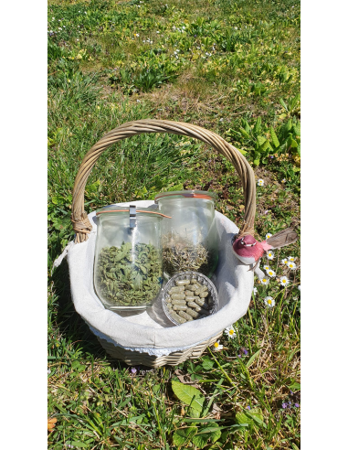 Gélules pour protection Corona