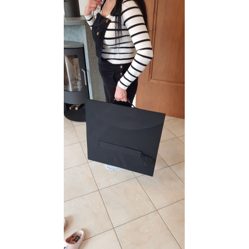 Centrale électrique portable 3000 Watt