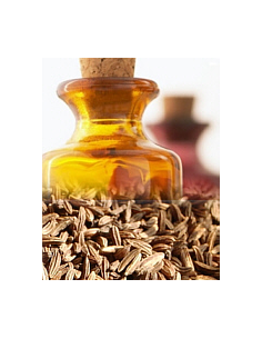 Cumin des Prés / Carvi