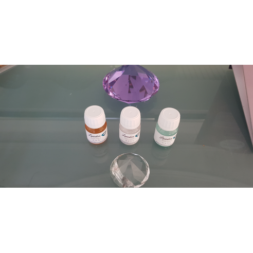 Bouteille de G.A.N.S. Bouteille de G.A.N.S.