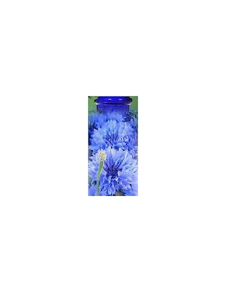 Bleuet  BIO