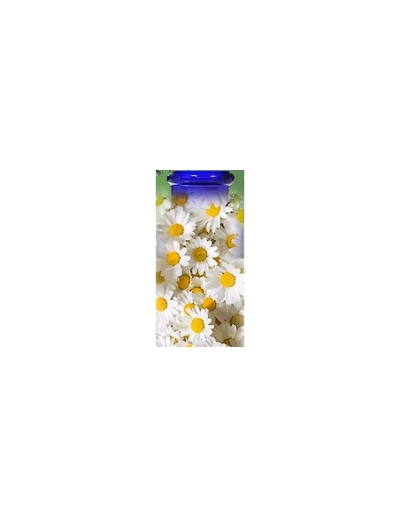 Camomille Allemande Bio