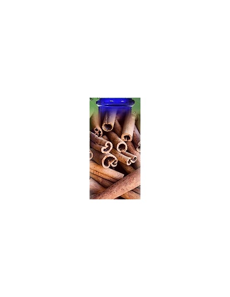 Canelle Ecorce Bio